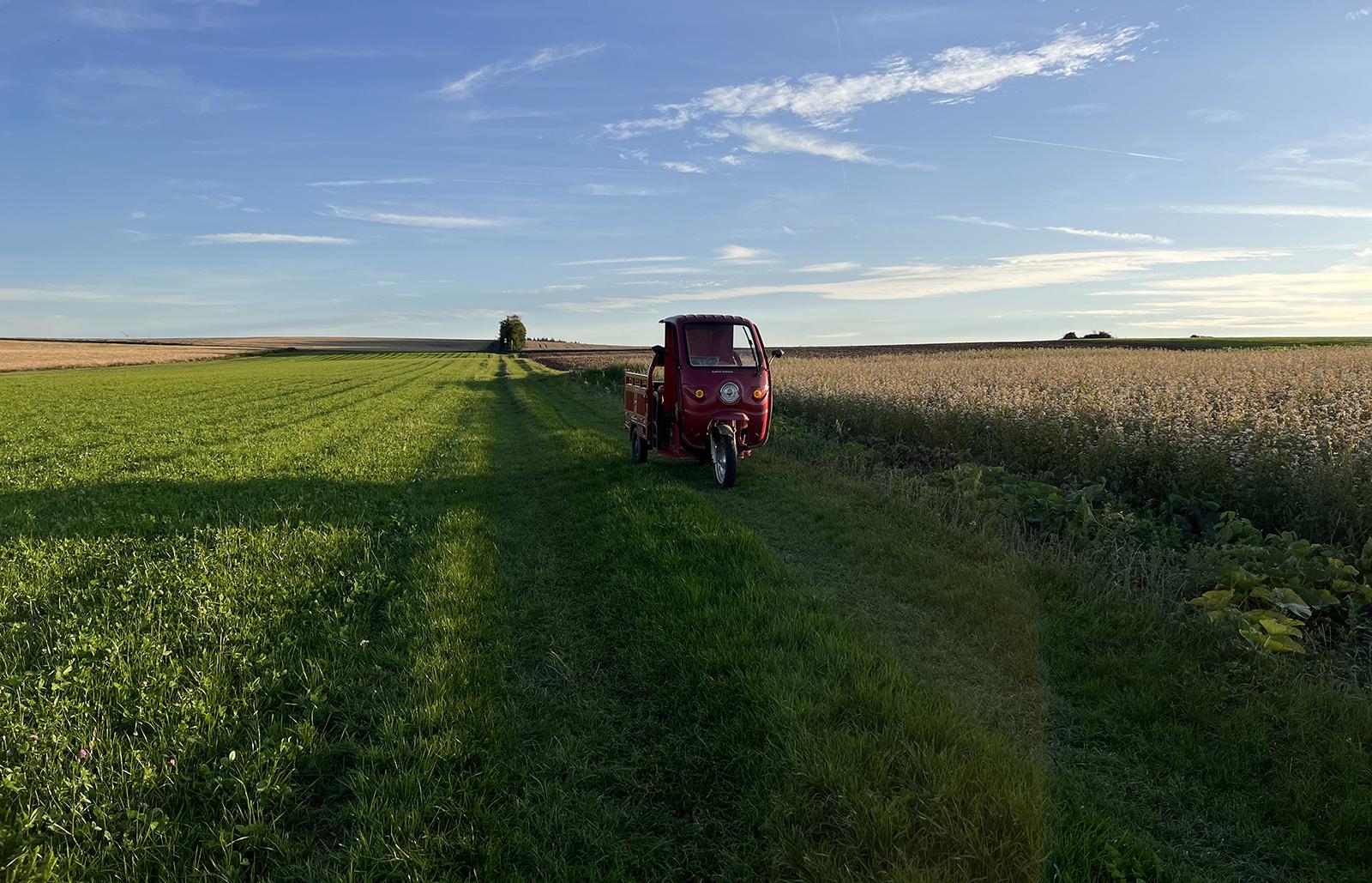 Helfe mit und lerne auf ökologischen Höfen  in Deutschland. • Header Image